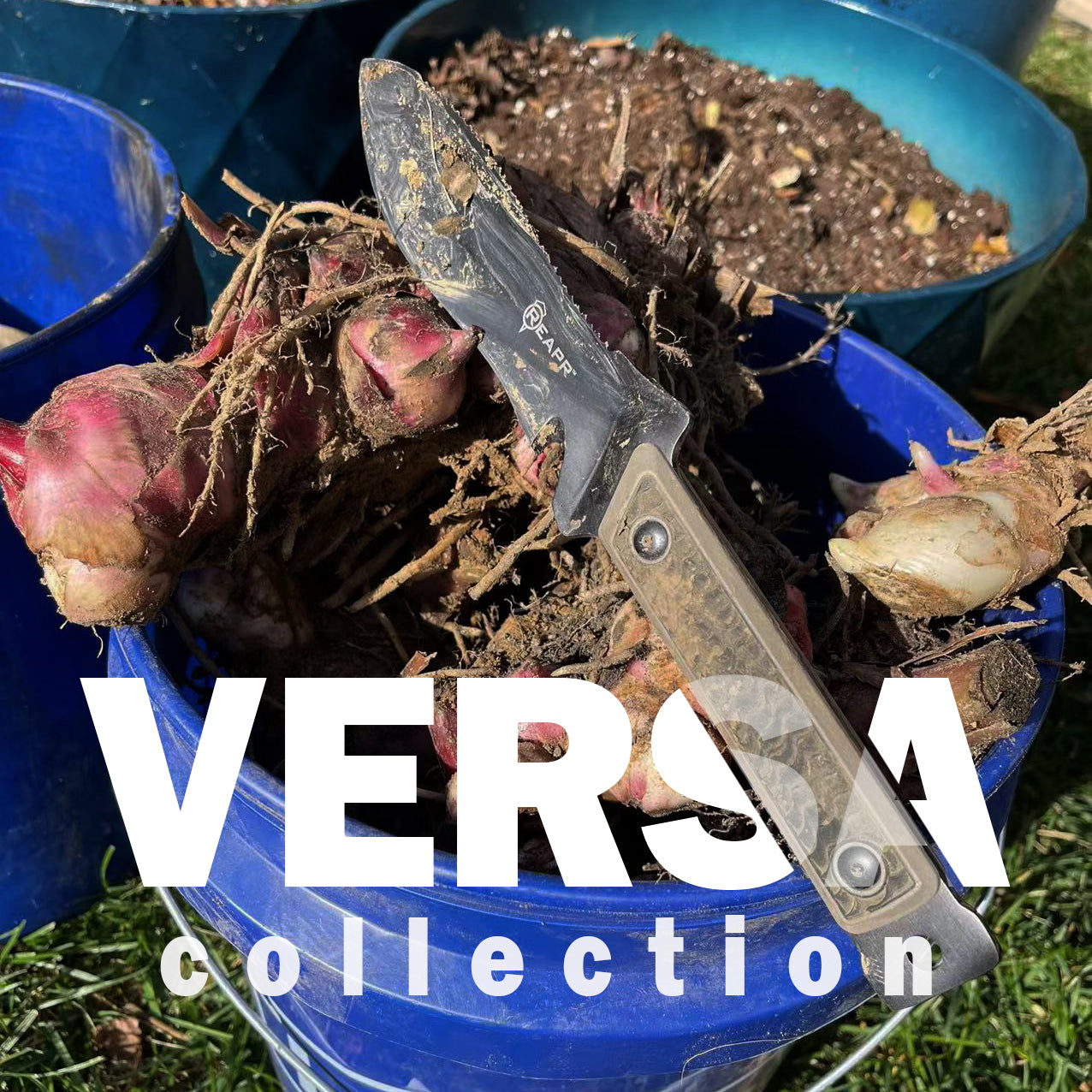 VERSA Collection